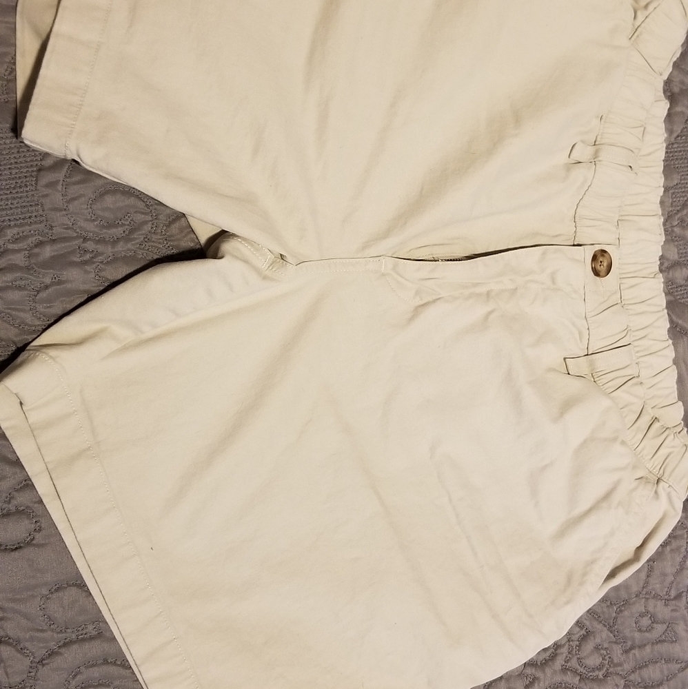 Chubbies 7 inch Short